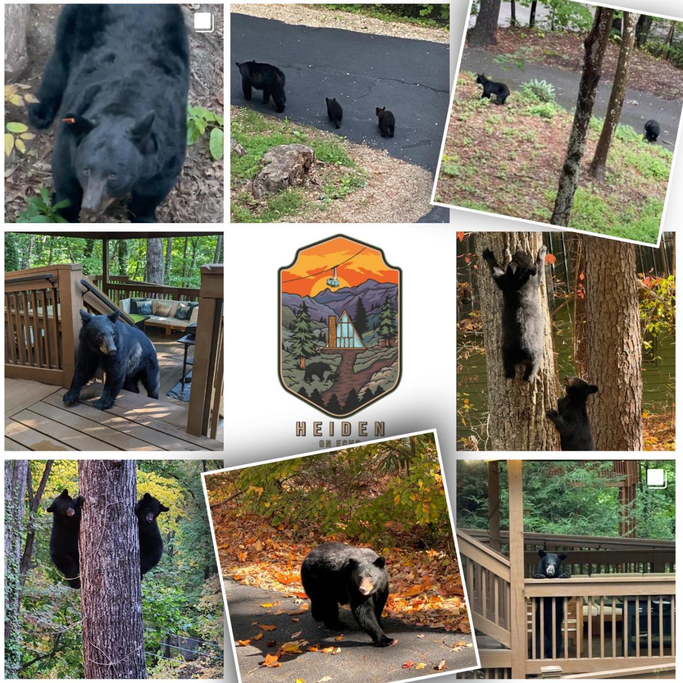 1Mile Downtown, Handicap Ramp, Hot Tub, Game Room Gatlinburg Bagian luar foto